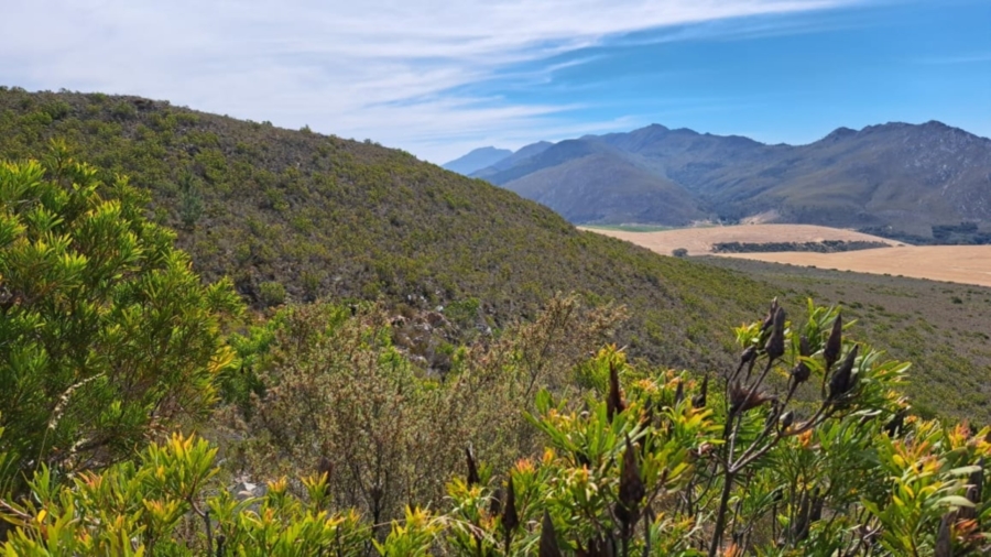 0 Bedroom Property for Sale in Caledon Rural Western Cape